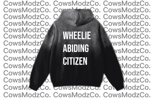 Heavyweight Sunfade Oversized Hoodie