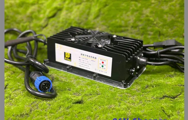 Surron Ultra Bee/LBX/Storm Bee Charger