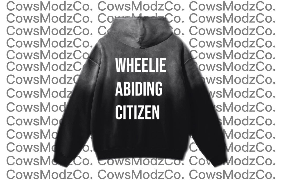 Heavyweight Sunfade Oversized Hoodie