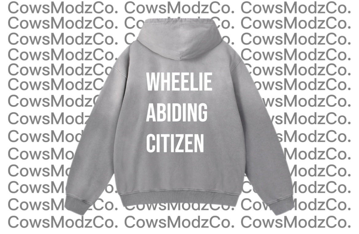 Heavyweight Sunfade Oversized Hoodie