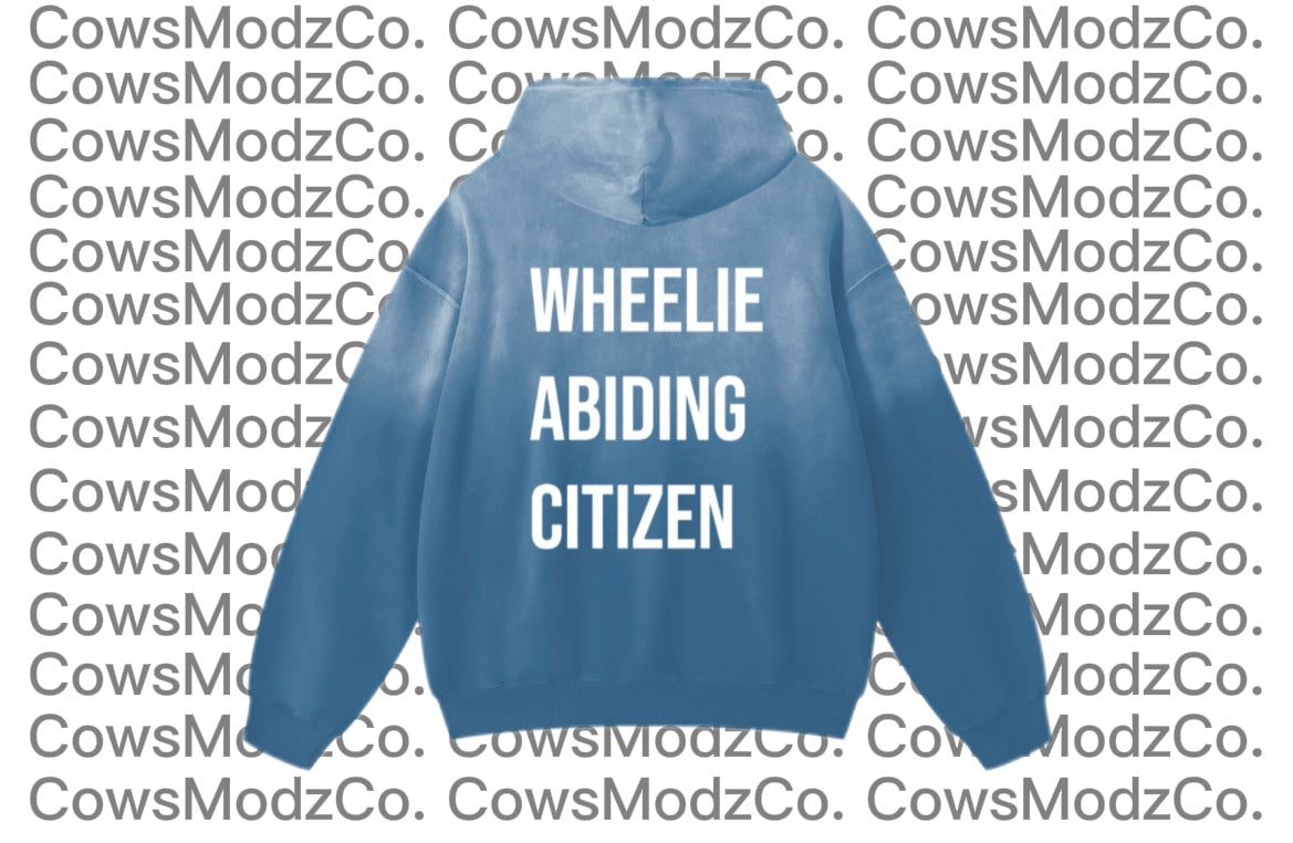 Heavyweight Sunfade Oversized Hoodie